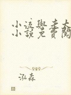 小流与老太农夫小说免费阅读