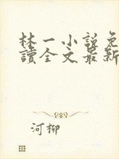 林一小说免费阅读全文最新章节