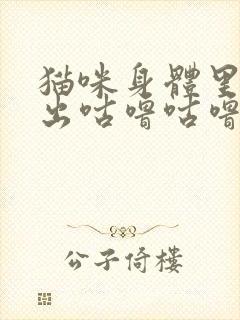 猫咪身体里面发出咕噜咕噜的声音