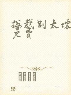 总裁别太坏小说免费