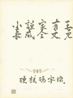 小说家有王妃初长成全文免费阅读