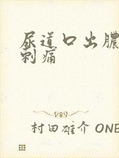 尿道口出脓小便刺痛