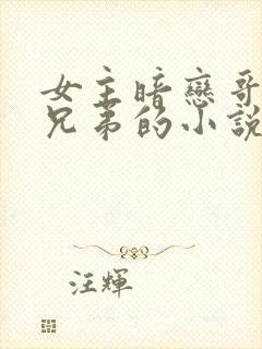 女主暗恋哥哥的兄弟的小说封面