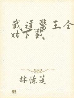 武道医王全集txt下载