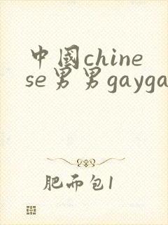 中国chinese男男gaygayvideo