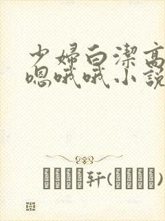 少妇白洁高义嗯嗯哦哦小说