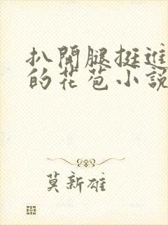 扒开腿挺进湿润的花苞小说