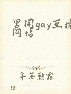 男同gay互操网站