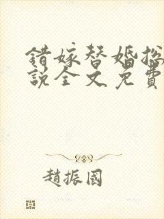 错嫁替婚总裁小说全文免费阅读