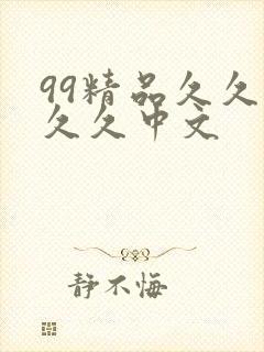 99精品久久久久久中文