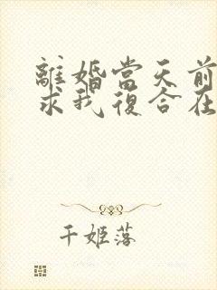 离婚当天前夫跪求我复合在线阅读封面