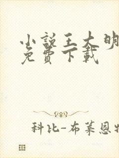 小说王大明萧红免费下载