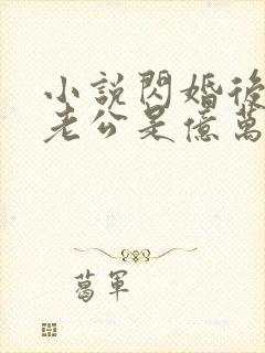 小说闪婚后发现老公是亿万富豪大结局