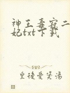 神王毒宠二嫁王妃txt下载封面