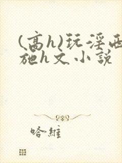 (高h)玩淫西施h文小说