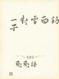 一对雪白的大奶子