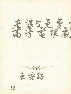 老婆5免费完整高清电视剧在线