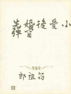 先婚后爱小说无弹窗