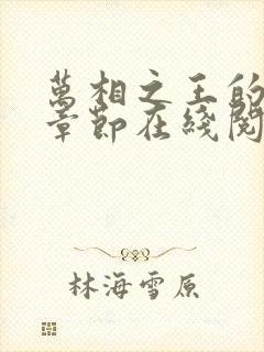 万相之王的最新章节在线阅读