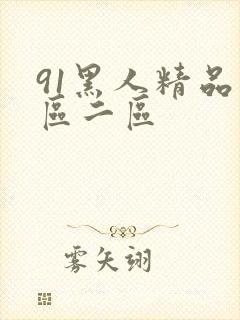 91黑人精品一区二区