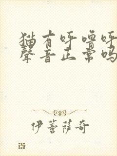 猫有呼噜呼噜的声音正常吗