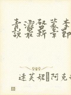 青涩启蒙李月小说最新章节