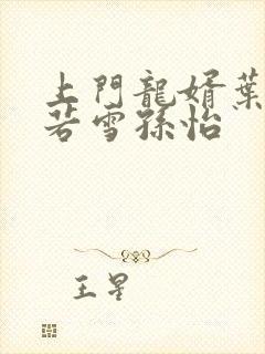 上门龙婿叶辰夏若雪孙怡