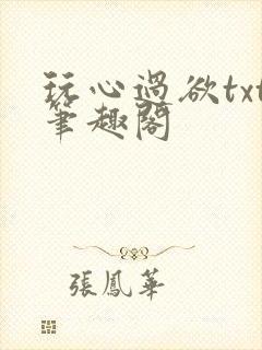 玩心过欲txt笔趣阁