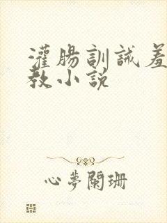 灌肠训诫羞耻调教小说