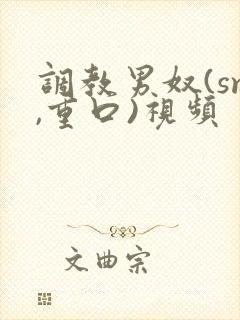 调教男奴(sm,重口)视频