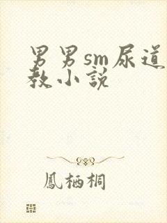 男男sm尿道调教小说