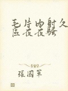 毛片内射久久一区夜夜骚