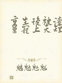 重生后被渣男舅舅宠上天短剧免费看