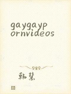gaygaypornvideos封面