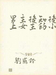 男主后知后觉爱上女主的小说