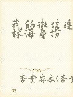 我的微信连三界林海身份