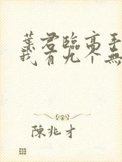 叶君临高手下山我有九个无敌师父封面