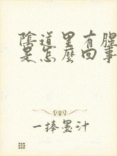 阴道里有腥臭味是怎么回事