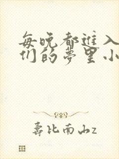 每晚都进入男神们的梦里小说叶芝琴封面