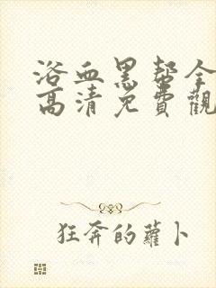 浴血黑帮全5季高清免费观看封面