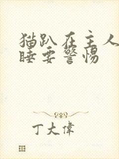 猫趴在主人胸口睡要警惕封面