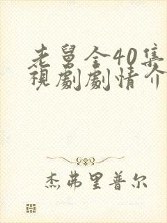 老舅全40集电视剧剧情介绍