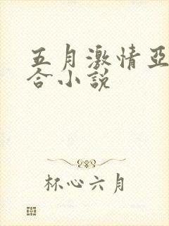 五月激情亚洲综合小说封面