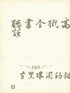 听书全职高手小说