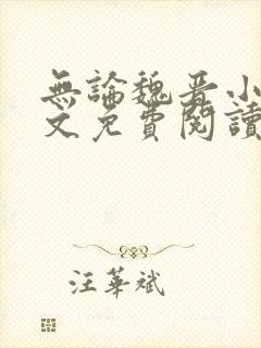 无论魏晋小说全文免费阅读