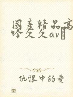 国产精品高潮呻吟久久av