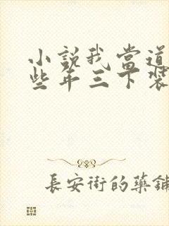 小说我当道士那些年三下装电子书