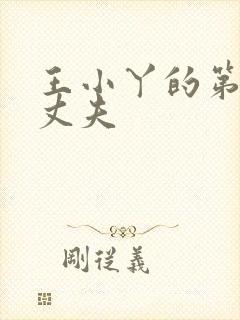 王小丫的第二任丈夫封面