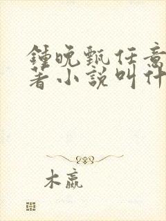 钟晚甄任意吻原著小说叫什么名字封面