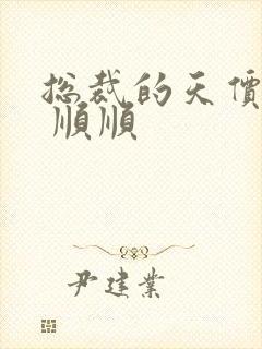 总裁的天价宠妻 顺顺封面